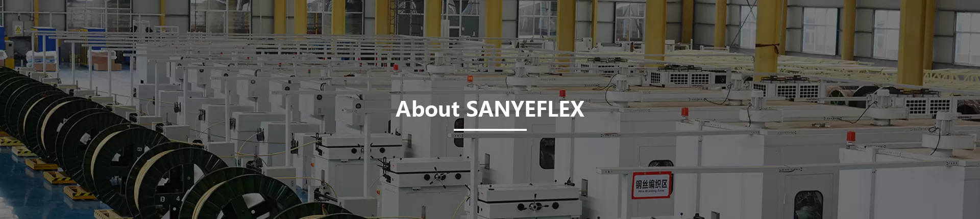 About SANYEFLEX