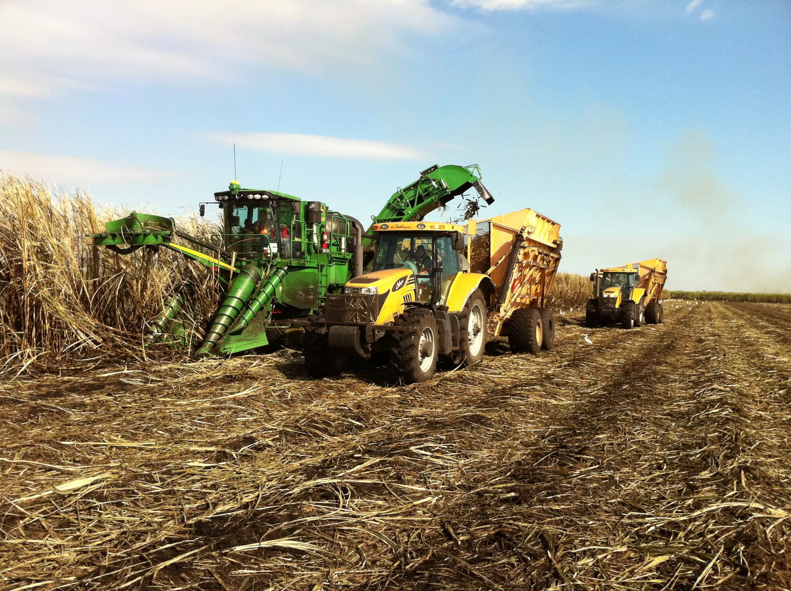 Agriculture